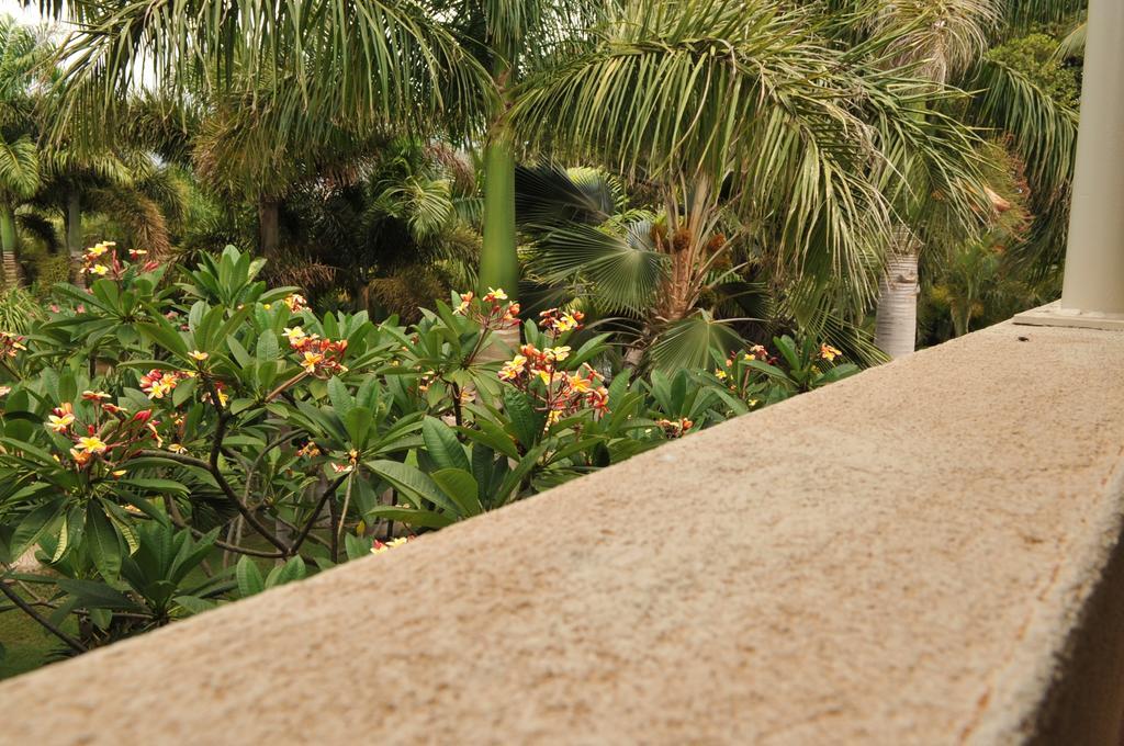 Aloha Aku Inn & Suites Kihei Habitación foto